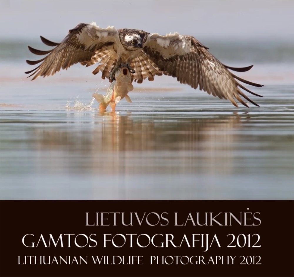Lietuvos laukinės gamtos fotografija 2012