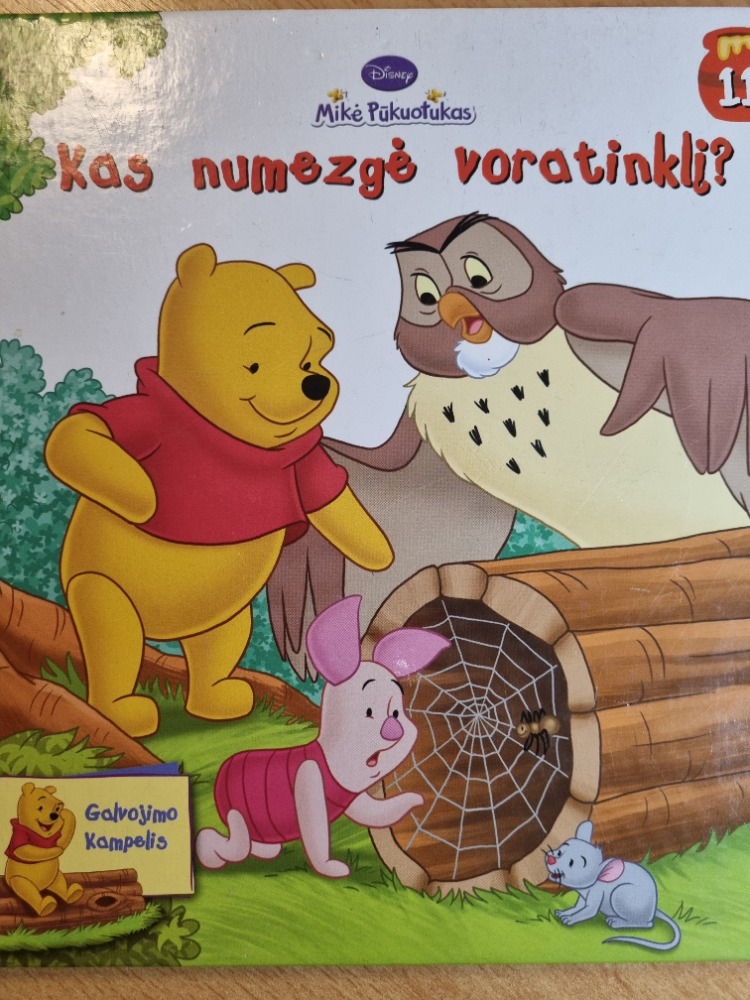 Kas numezgė voratinklį?