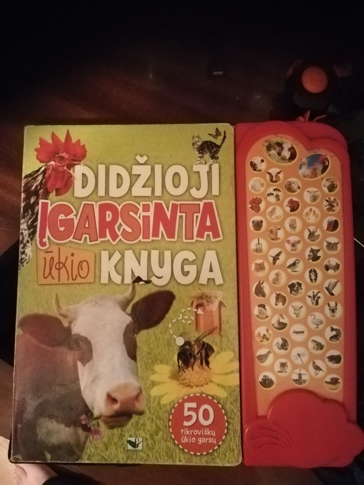 Didžioji įgarsinta ūkio knyga