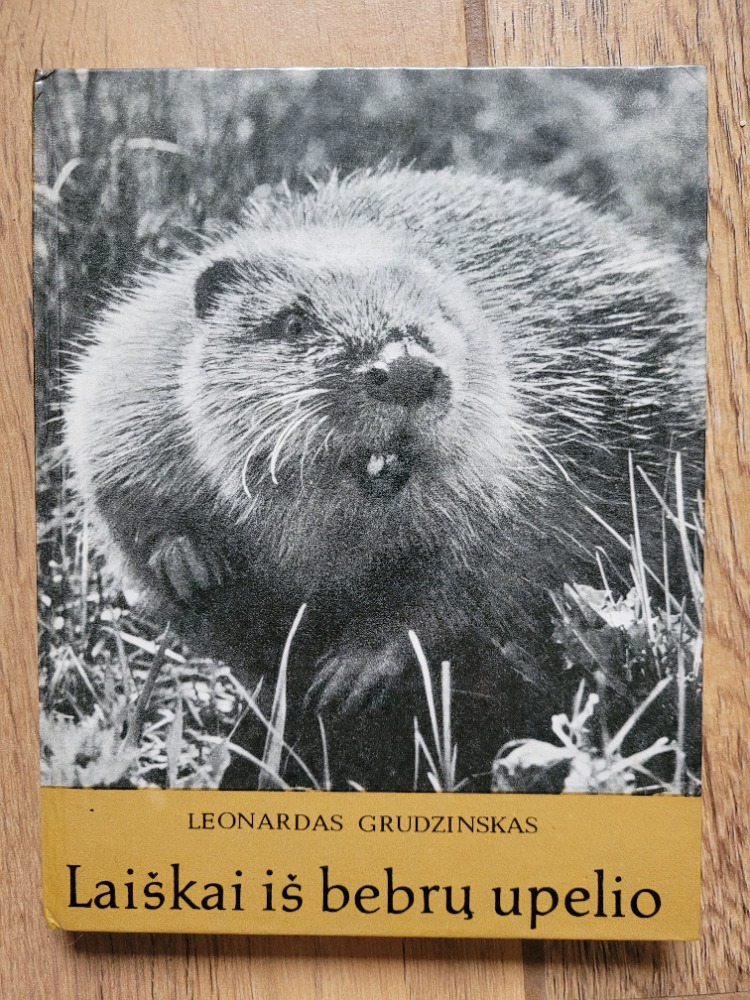 Laiškai iš bebrų upelio