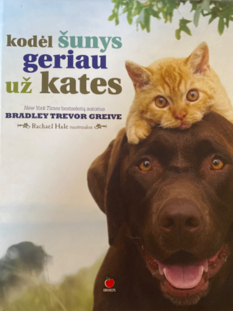 Kodėl šunys geriau už kates