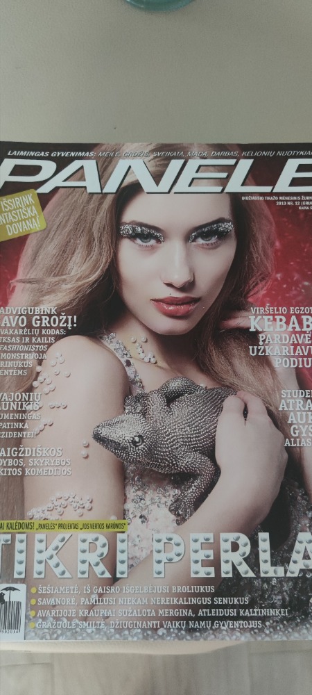 Panelė 