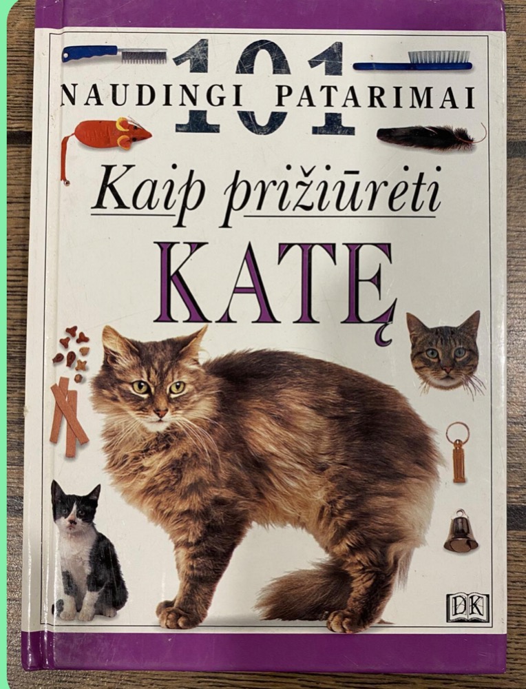 101 naudingi patarimai: kaip prižiūrėti katę