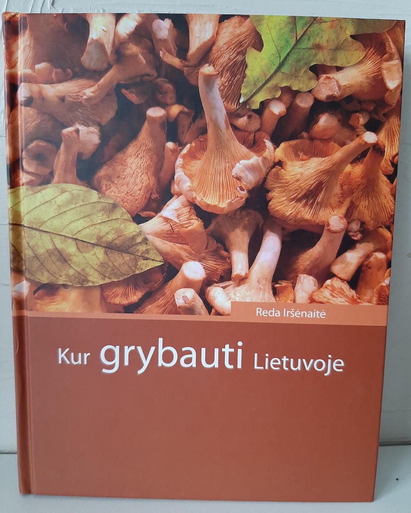 Kur grybauti Lietuvoje