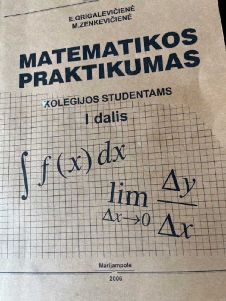 Matemamatikos praktikumas