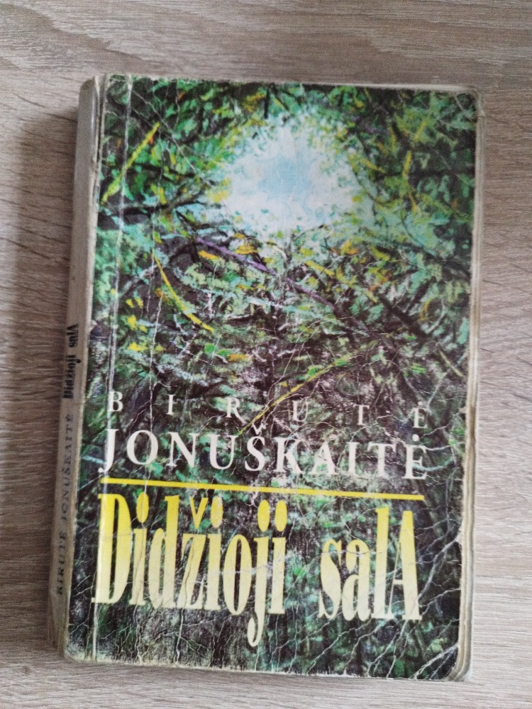 Didžioji sala