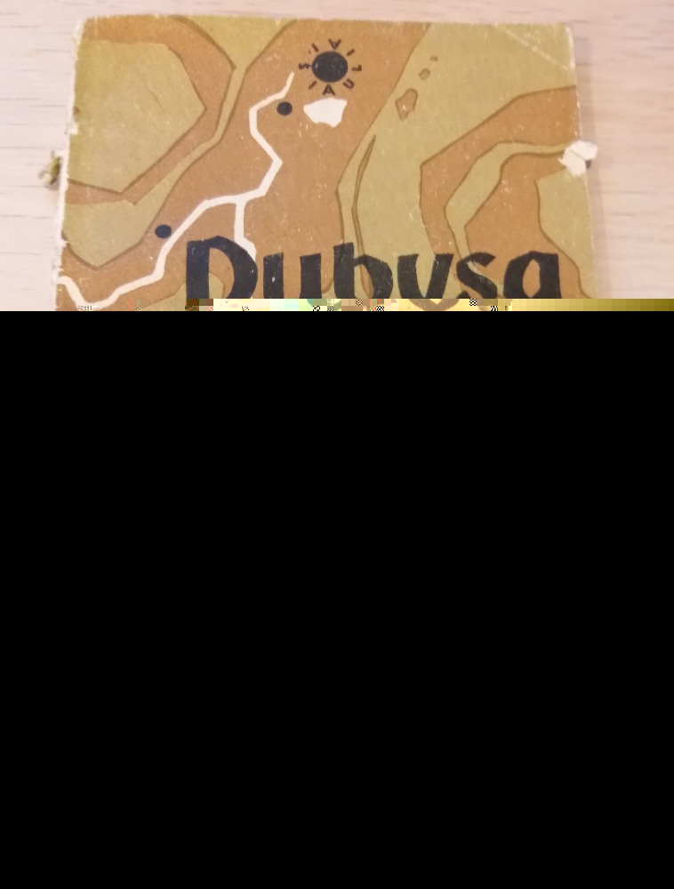 Dubysa