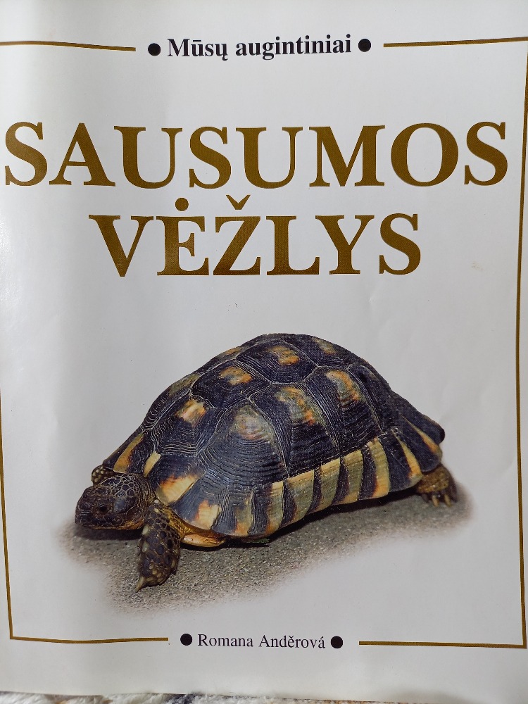 Sausumos vėžlys