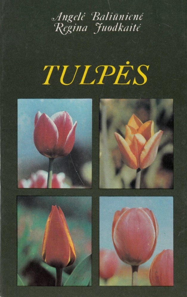 Tulpės