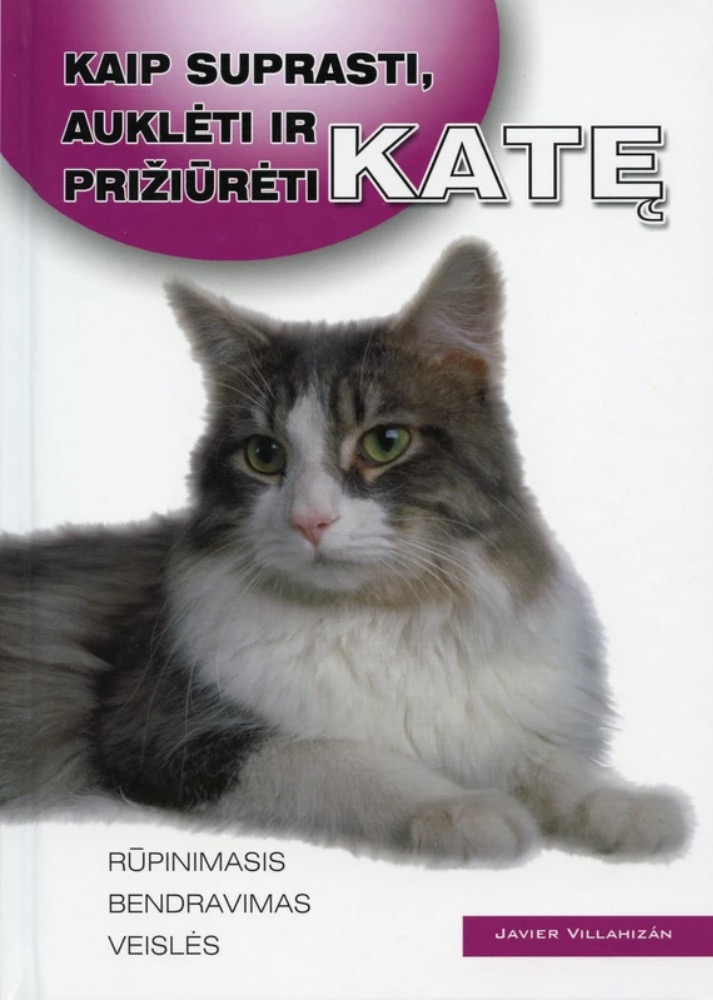 Kaip suprasti, auklėti ir prižiūrėti katę