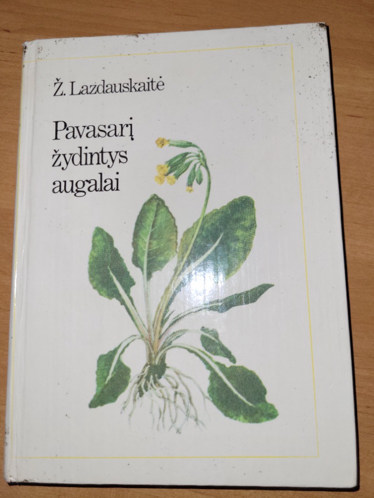 Pavasarį žydintys augalai