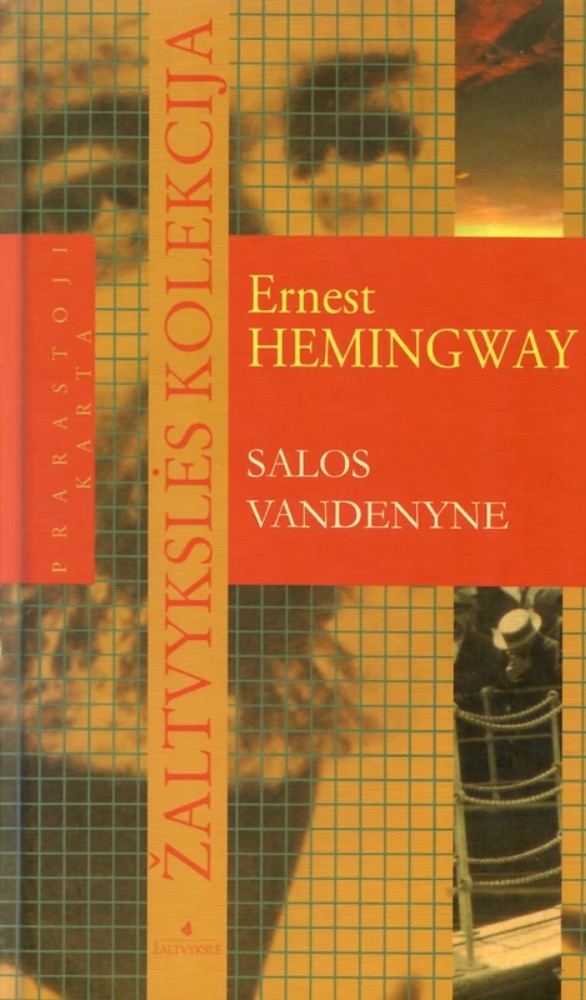 Salos vandenyne