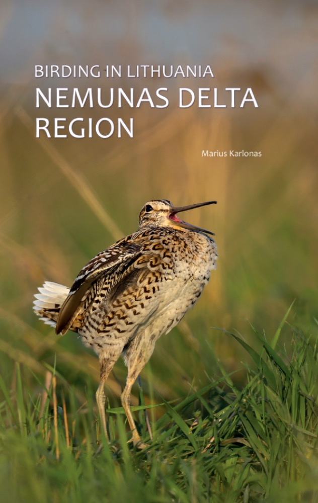 Birding in Lithuania Nemunas Delta Region