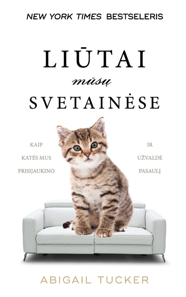 Liūtai mūsų svetainėse