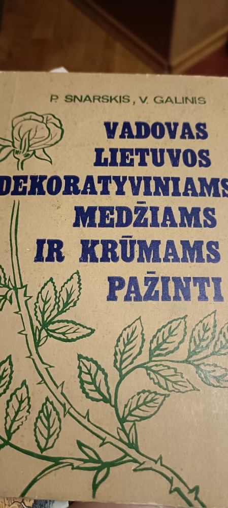 Vadovas Lietuvos dekoratyviniams medžiams ir krūmams pažinti 