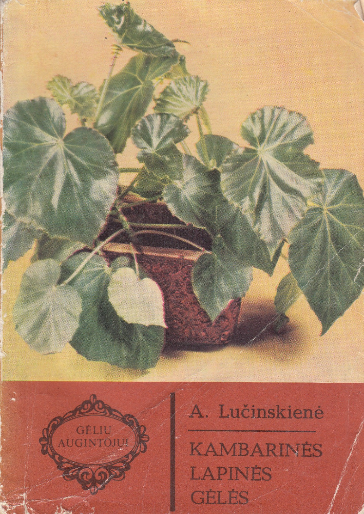 Gėlių augintojui. Kambarinės lapinės gėlės
