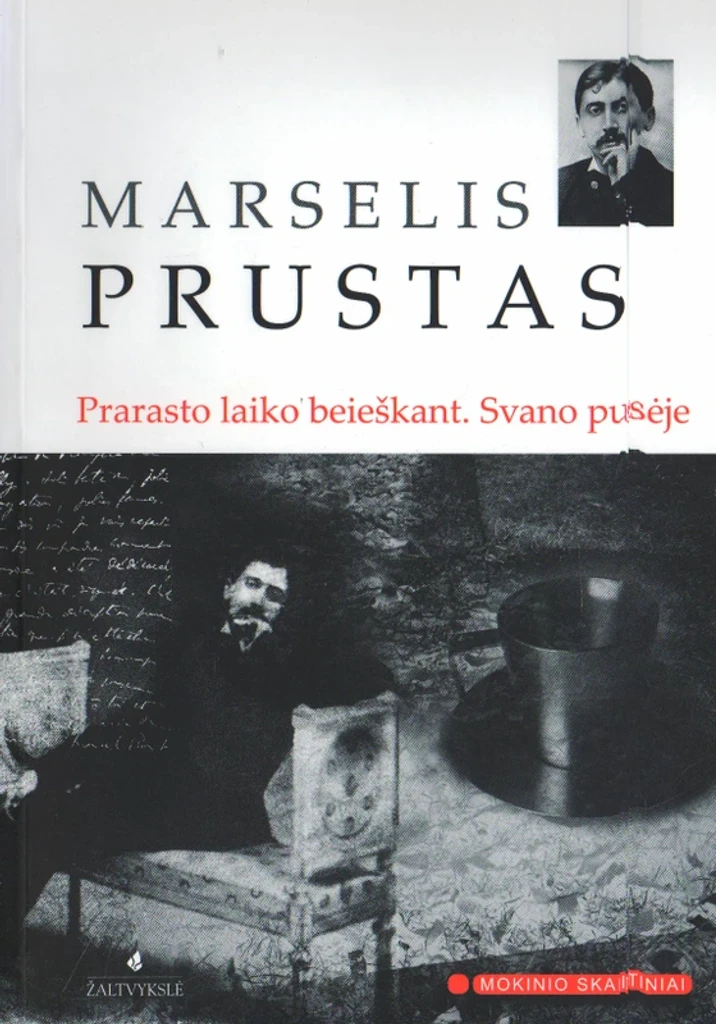 Prarasto laiko beieškant. Svano pusėje 