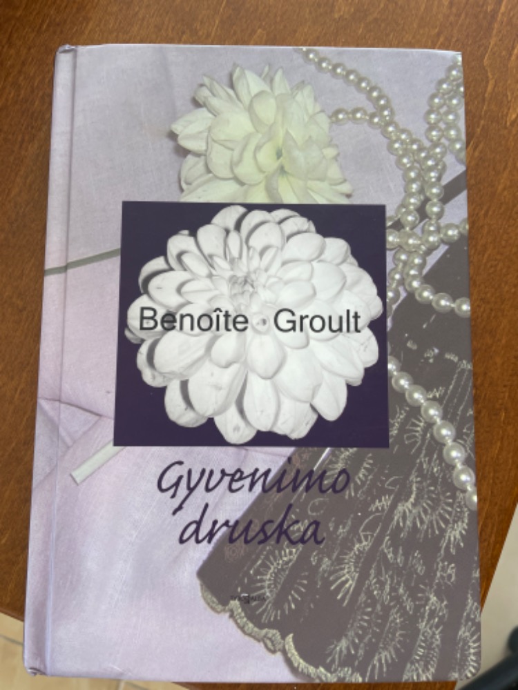 Gyvenimo druska
