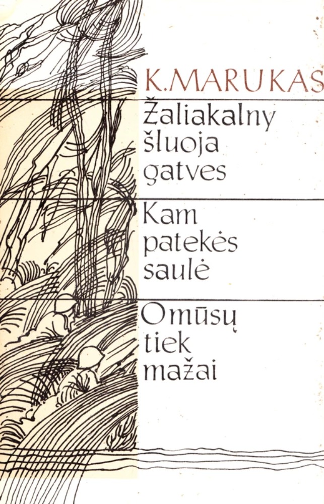 Žaliakalny šluoja gatves. Kam patekės saulė. O mūsų tiek mažai