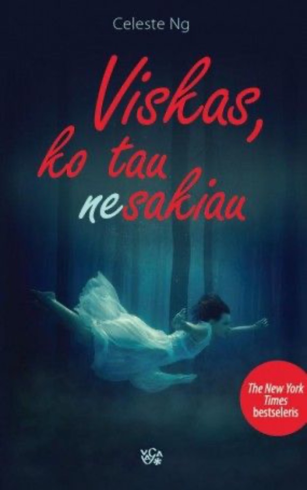 Viskas, ko tau nesakiau