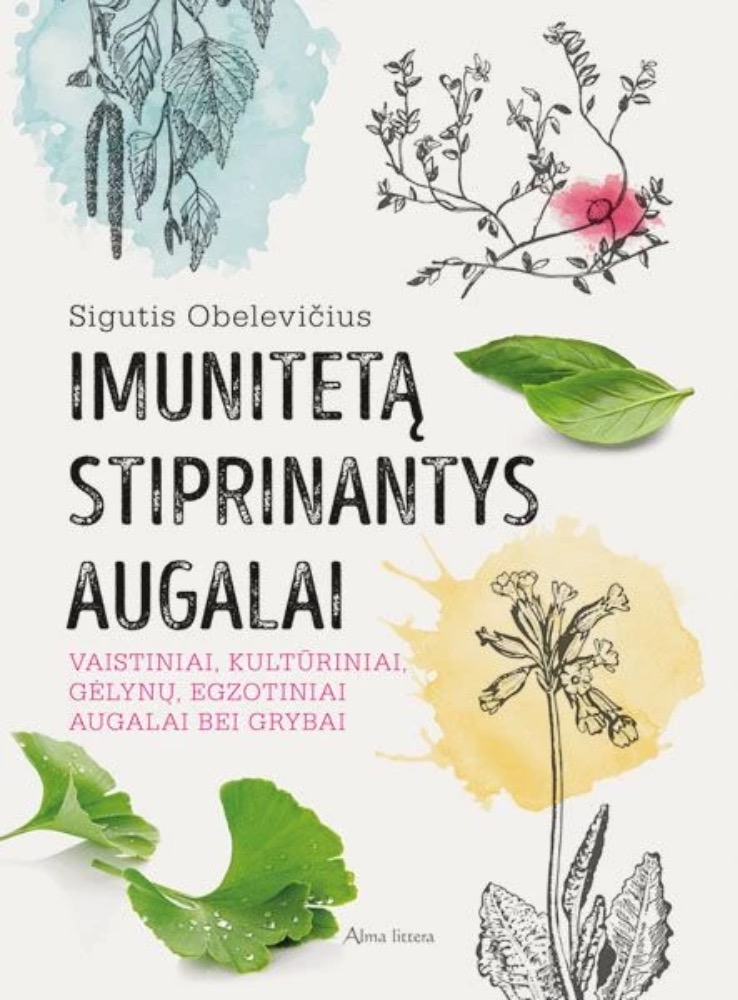 Imunitetą stiprinantys augalai