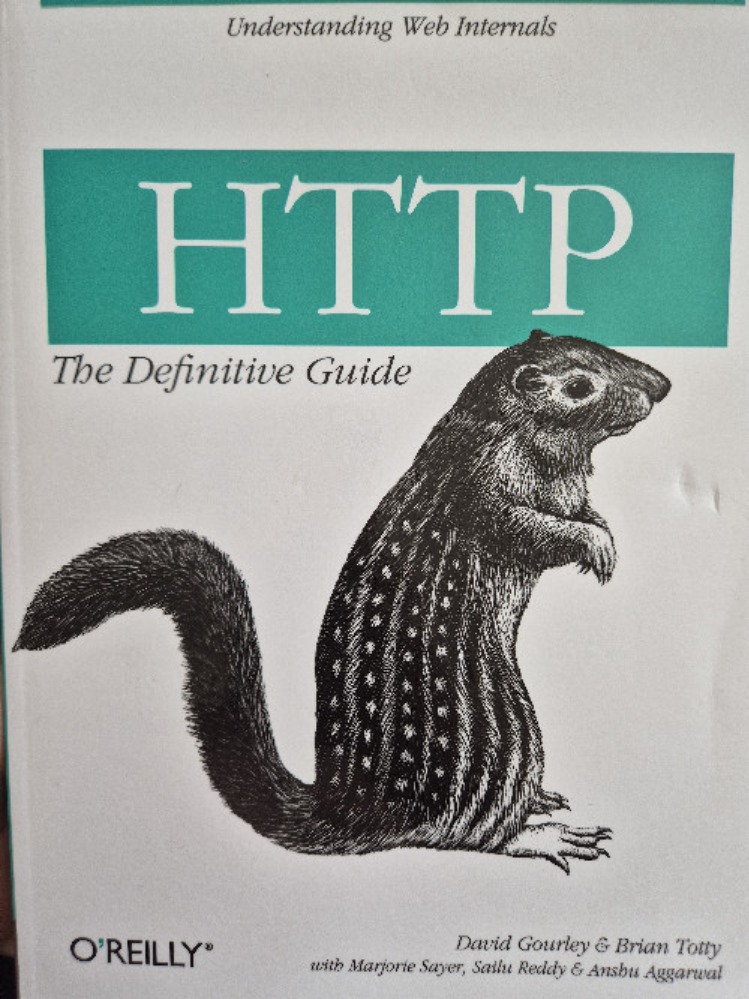 HTTP the definitive guide