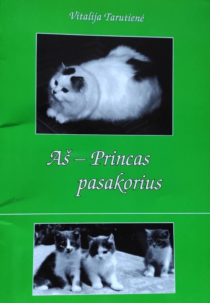 Aš – Princas pasakorius
