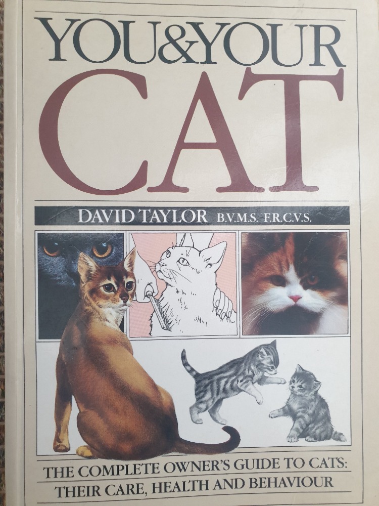 You and Your Cat