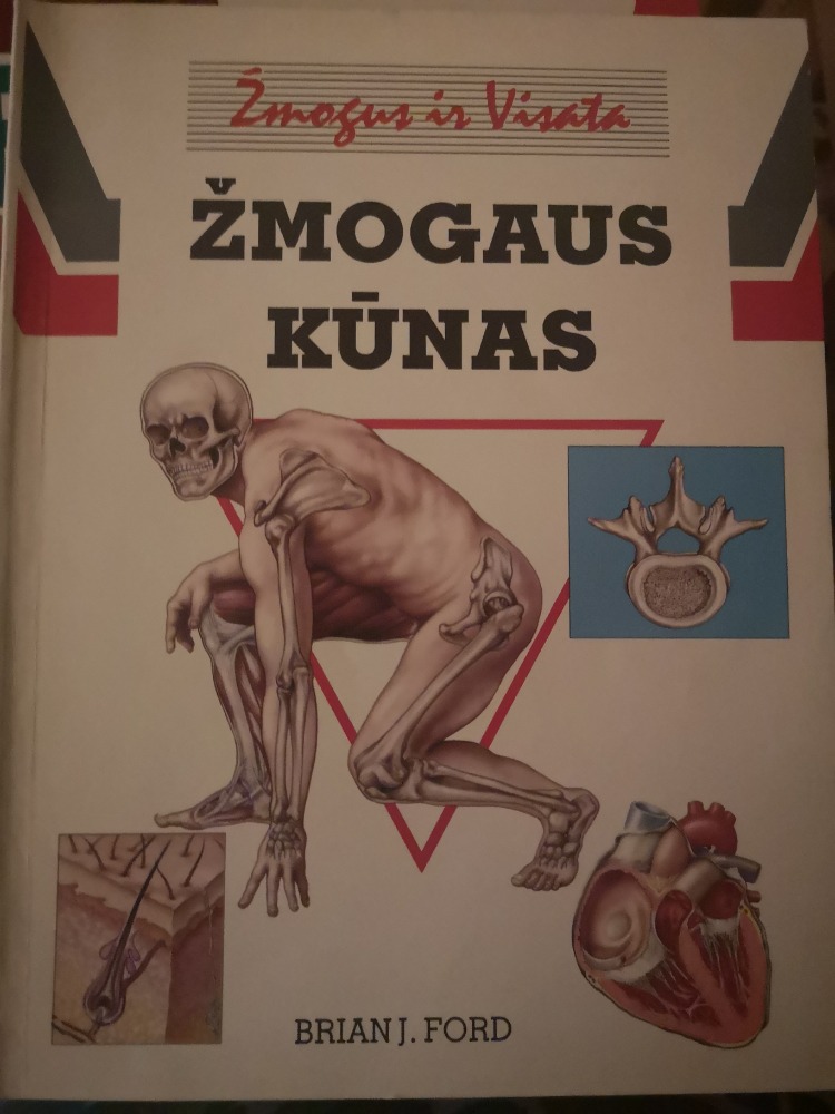 Žmogaus kūnas