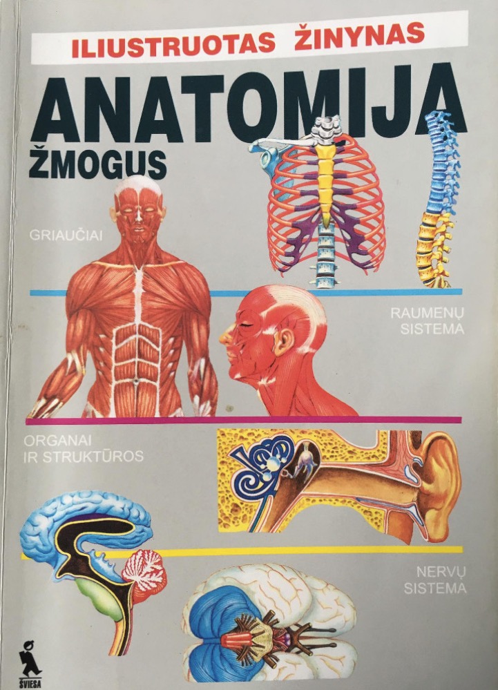 Iliustruotas žinynas. Anatomija: žmogus