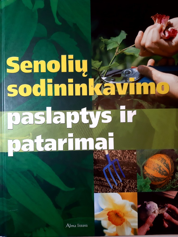 Senolių sodininkavimo paslaptys ir patarimai