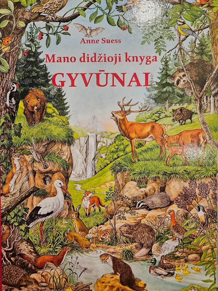 Mano didžioji knyga 