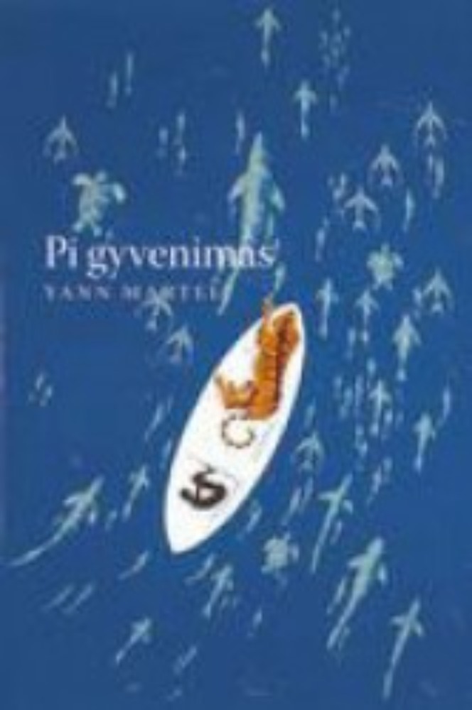 Pi gyvenimas