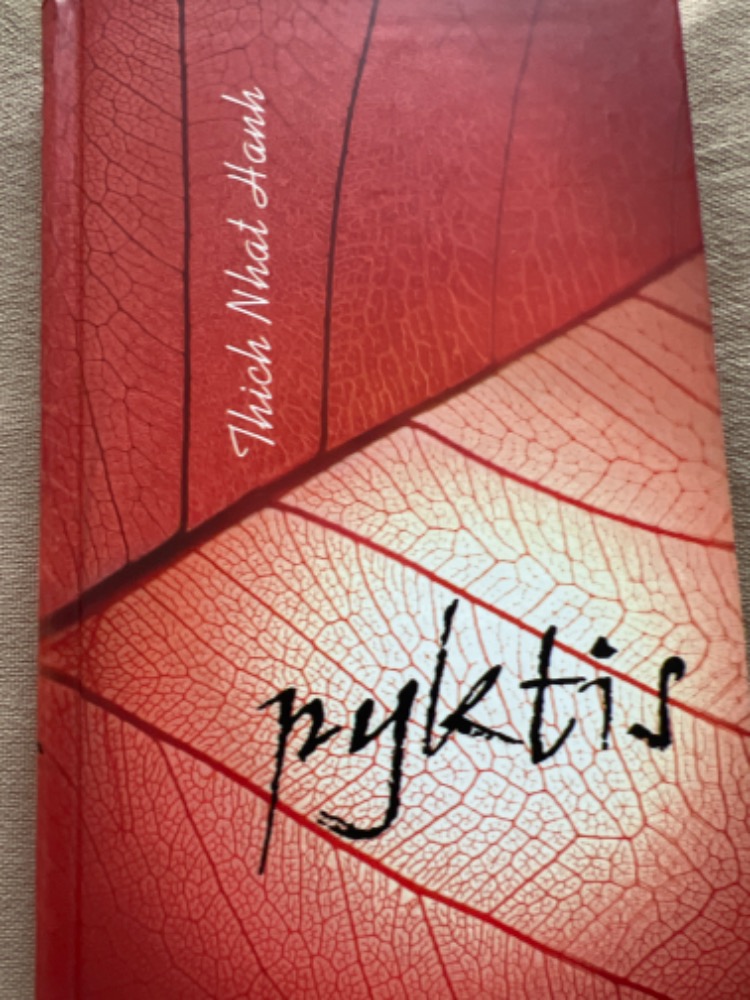 Pyktis