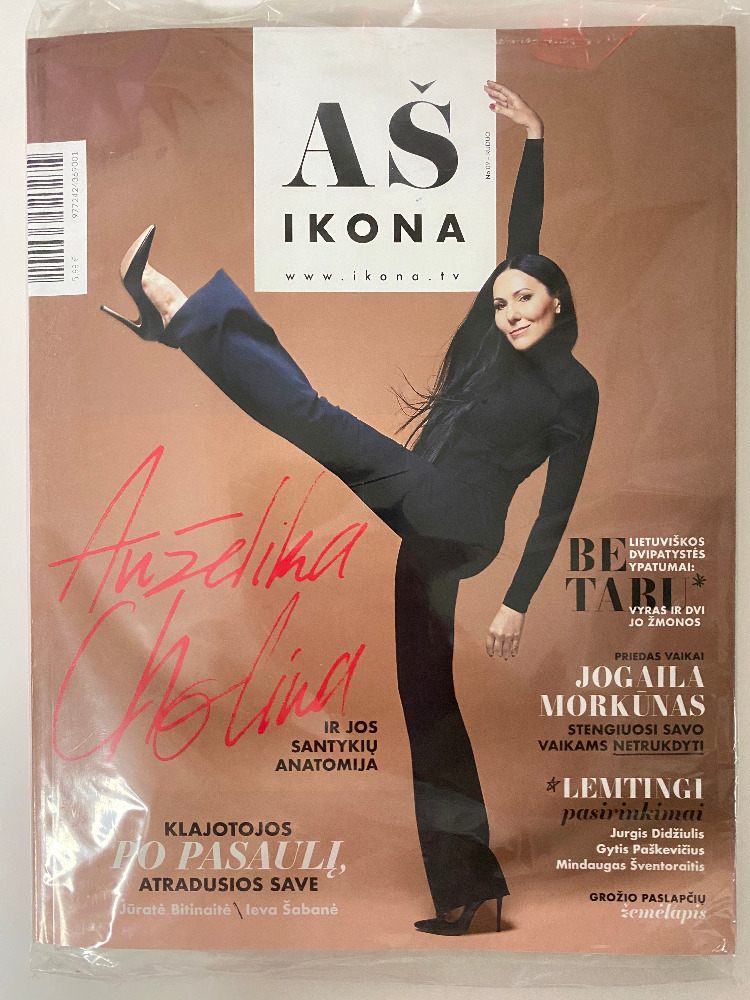 VMG Ikona Nr. 9, 2017 ruduo