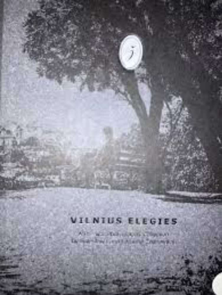 Vilnius Elegies