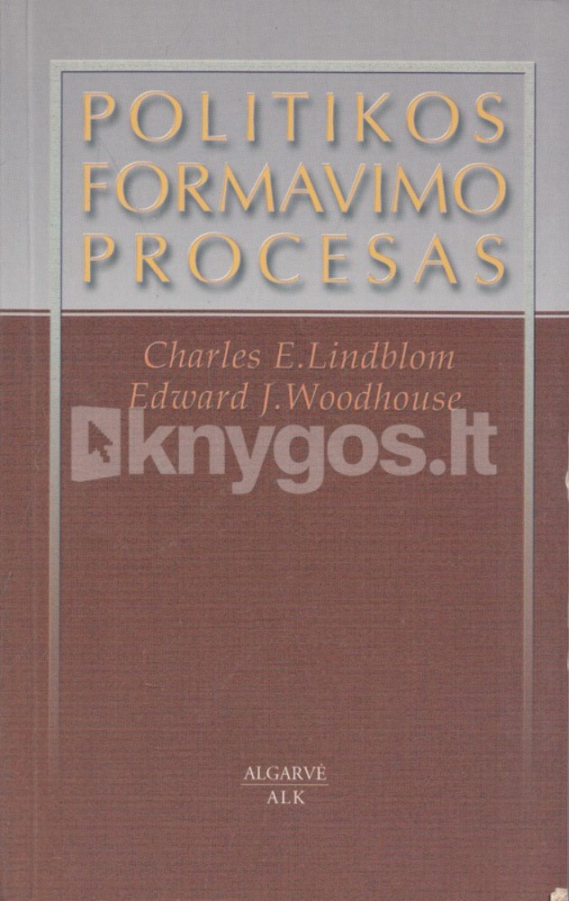 Politikos formavimo procesas