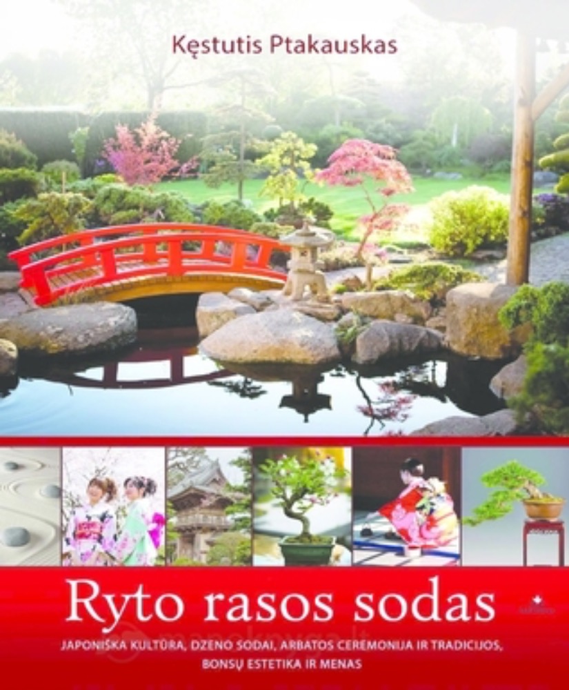 Ryto rasos sodas