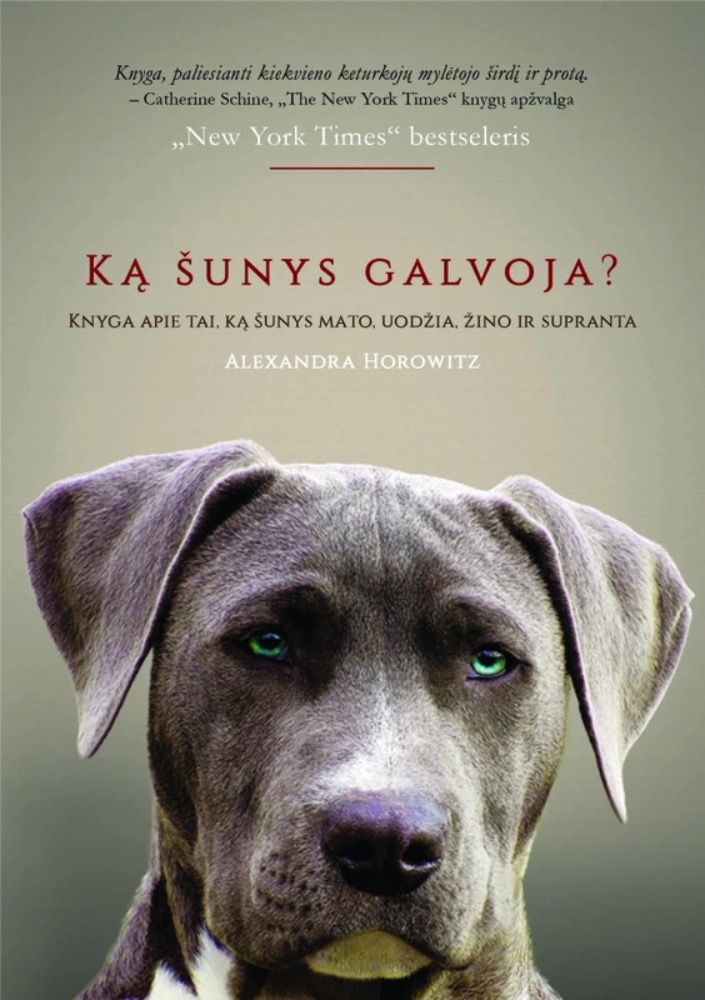Ką šunys galvoja?