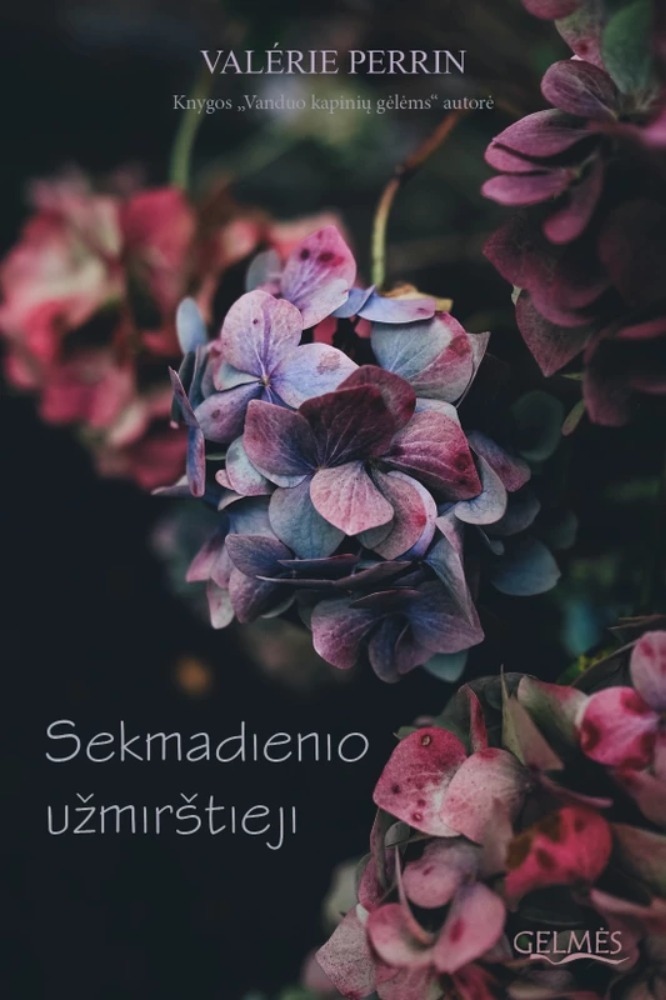 Sekmadienio užmirštieji