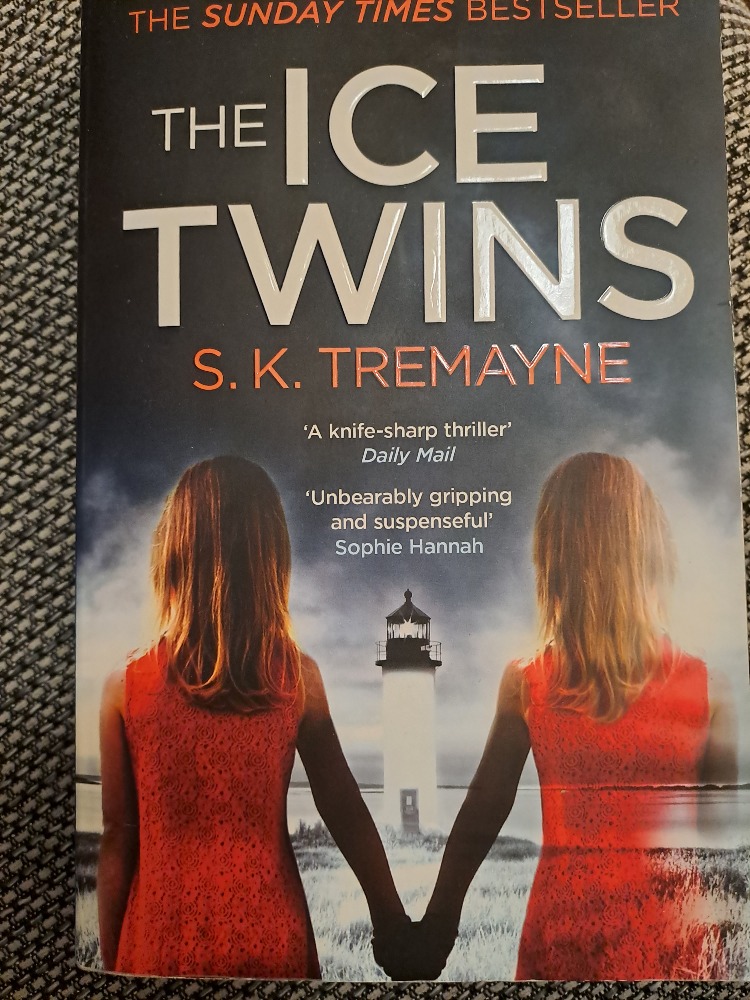 The Ice Twins