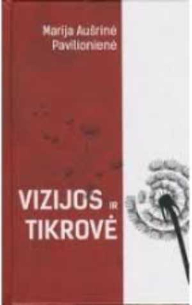 Vizijos ir tikrovė