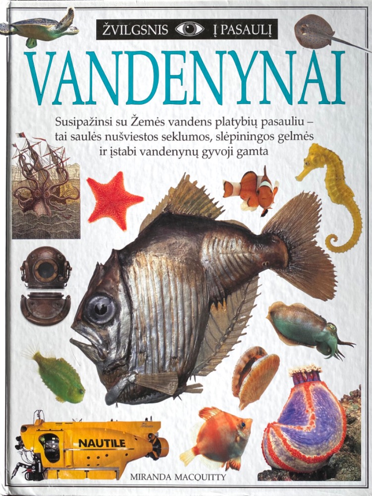 Vandenynai