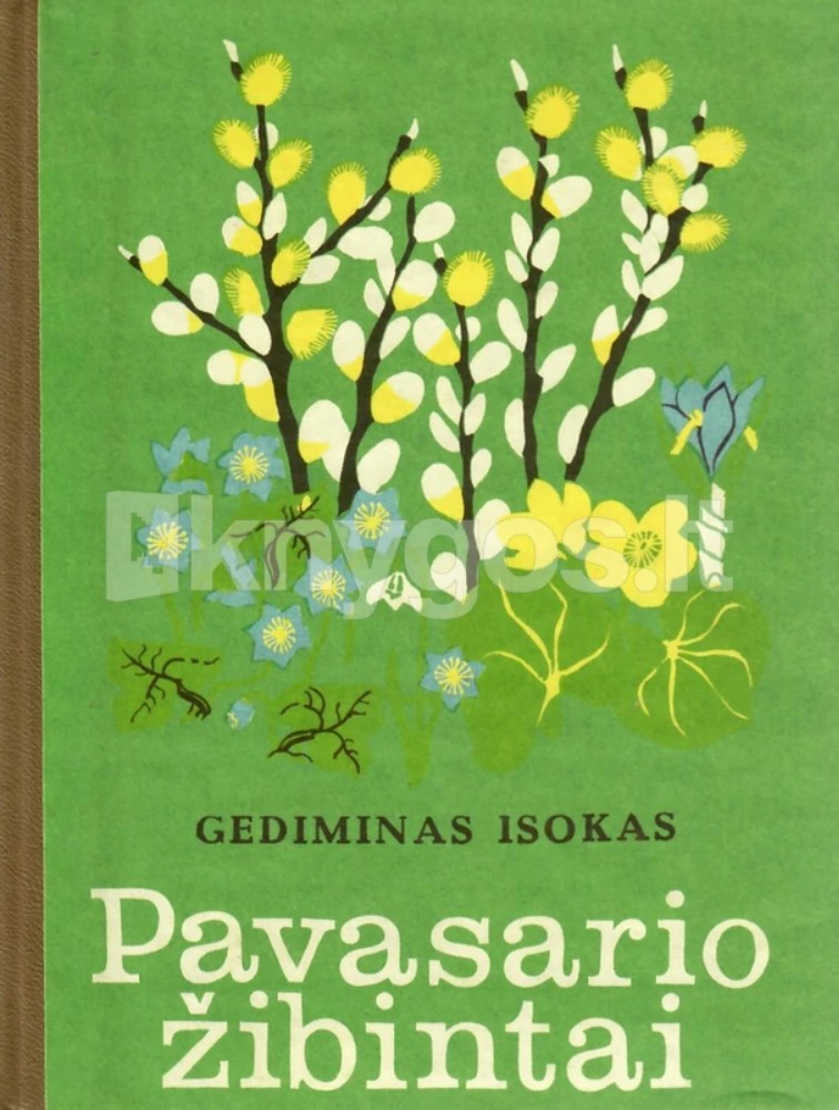 Pavasario žibintai