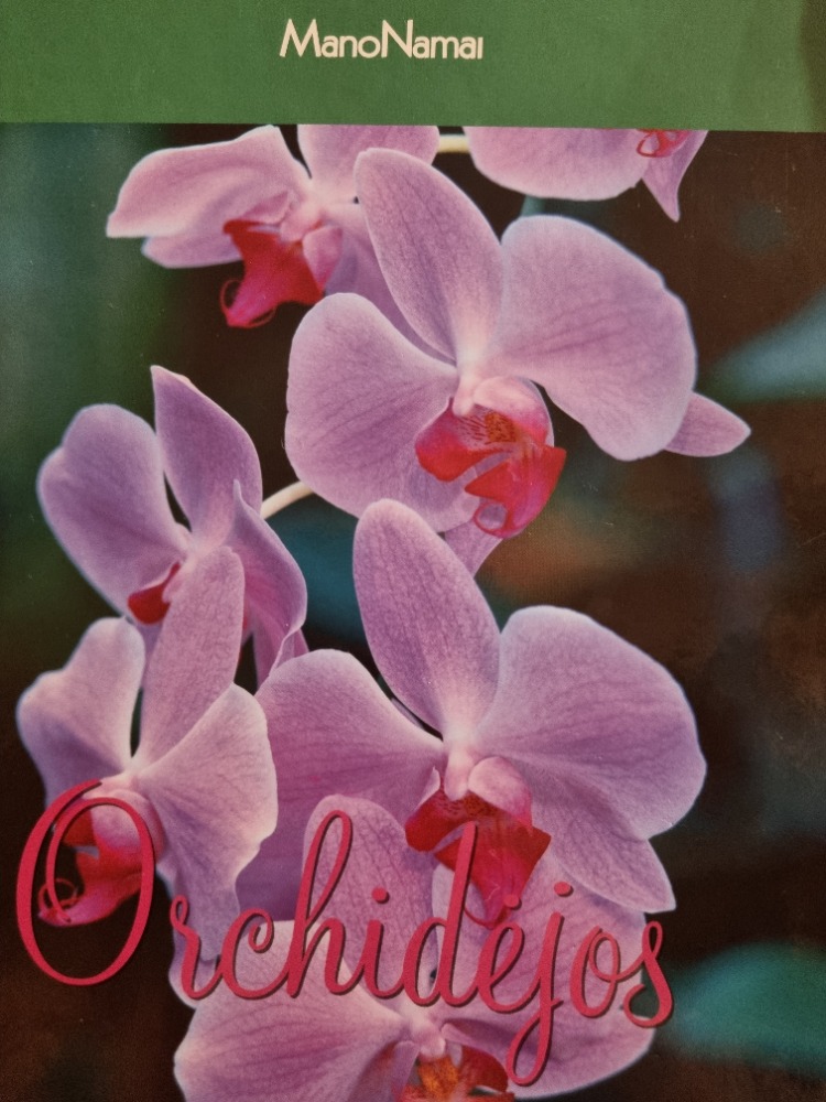 Orchidėjos