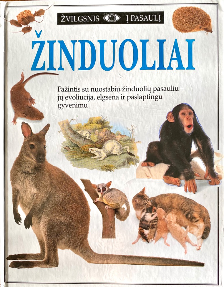 Žinduoliai