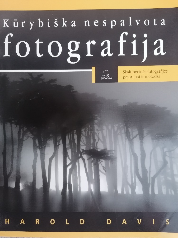 Kūrybiška nespalvota fotografija 