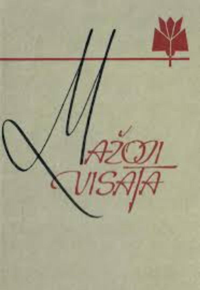 Mažoji visata