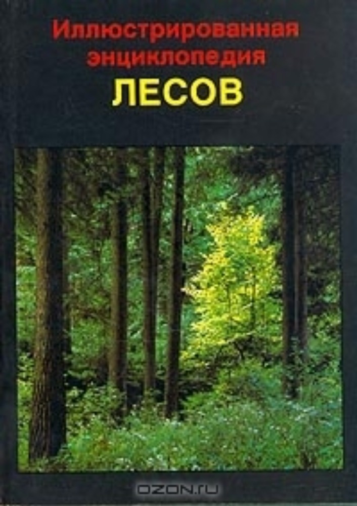 Иллюстрированная энциклопедия лесов