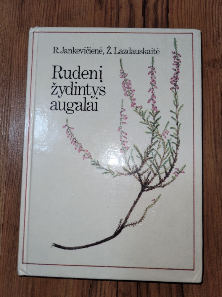 Rudenį žydintys augalai